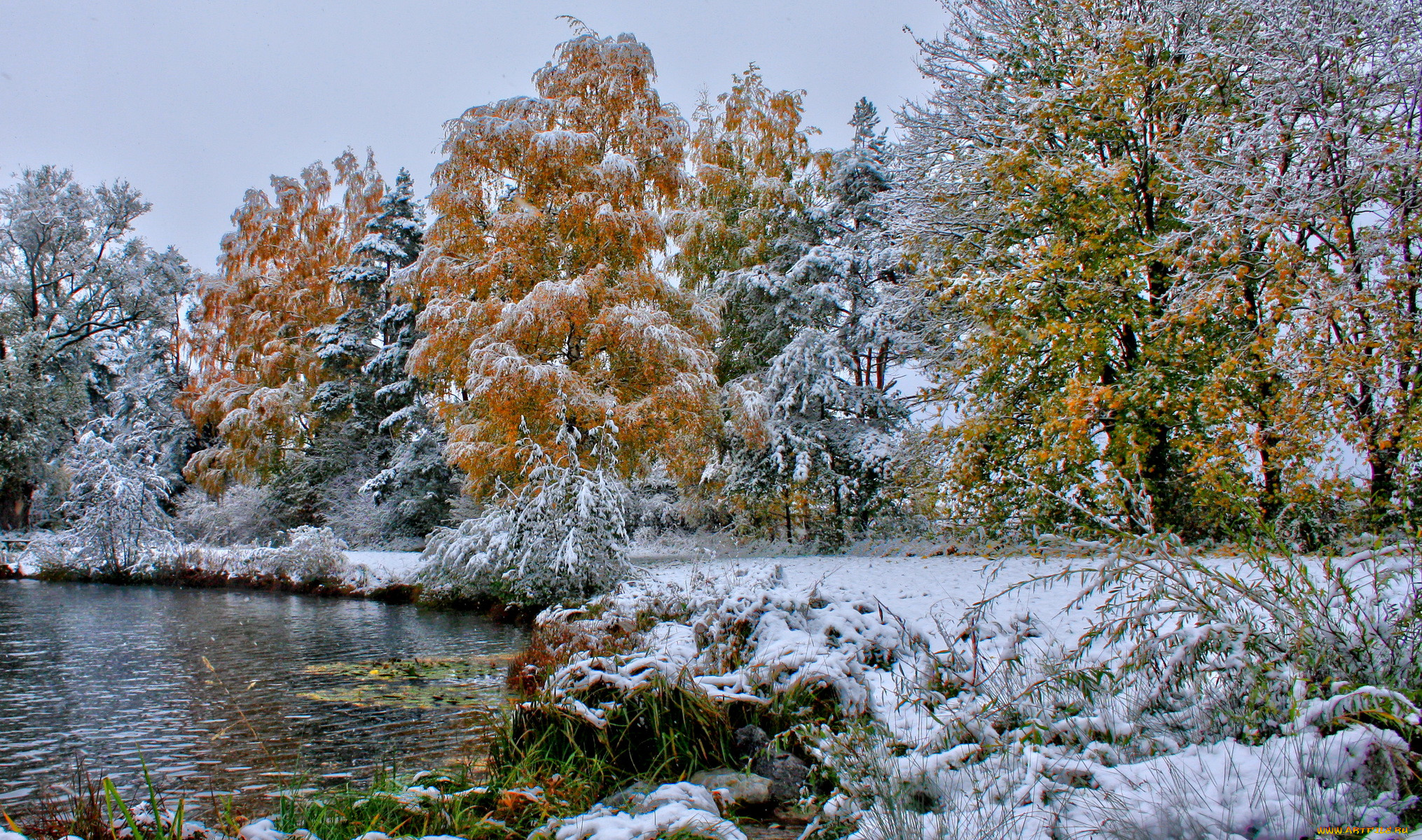 Поздняя осень и наступление зимы. Ранняя зима. Природа ранняя зима. Ноябрь природа. Поздняя осень.